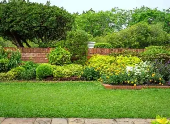 landscaping services Briarwood